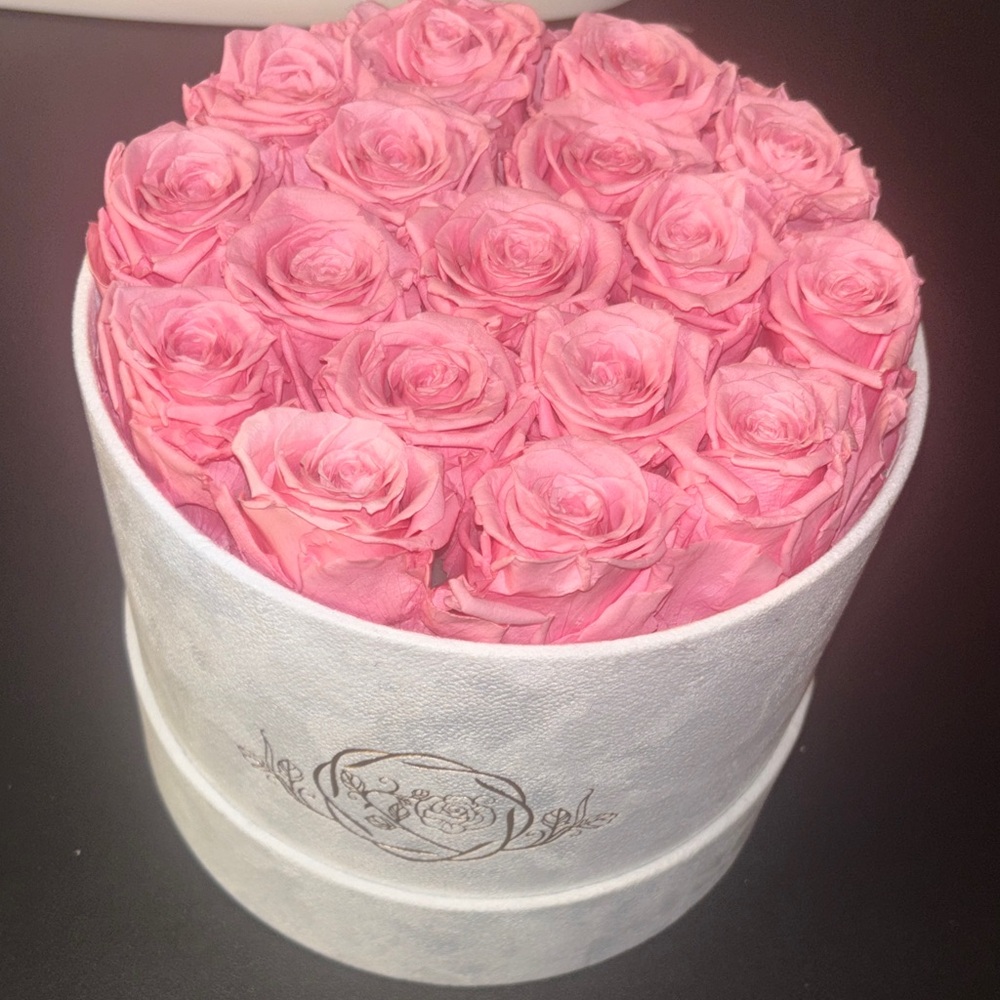 Pink Roses in White Box